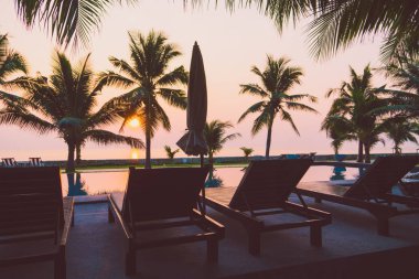 Siluet Hindistan cevizi hurma ağacının etrafında Açık Yüzme Havuzu