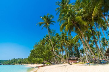 Güzel tropikal plaj ve deniz