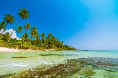 Deniz ve plaj manzara ile güzel cennet ada