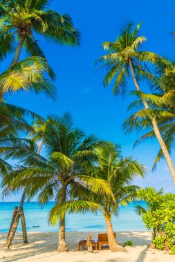 Güzel tropikal plaj ve deniz