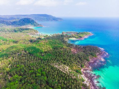 Güzel bir plaj ve deniz Hindistan cevizi hurma ağacı ile havadan görünümü