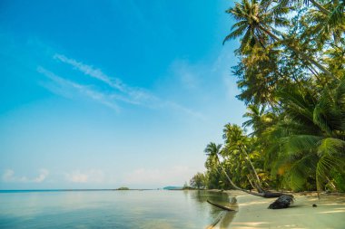 Güzel cennet ada plaj ve deniz