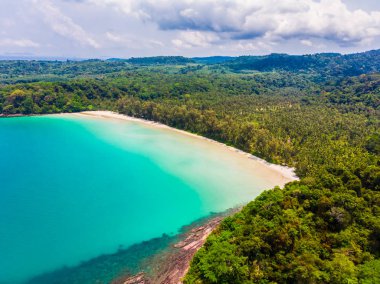Plaj ve deniz ile Hindistan cevizi hurma ağacı güzel havadan görünümü