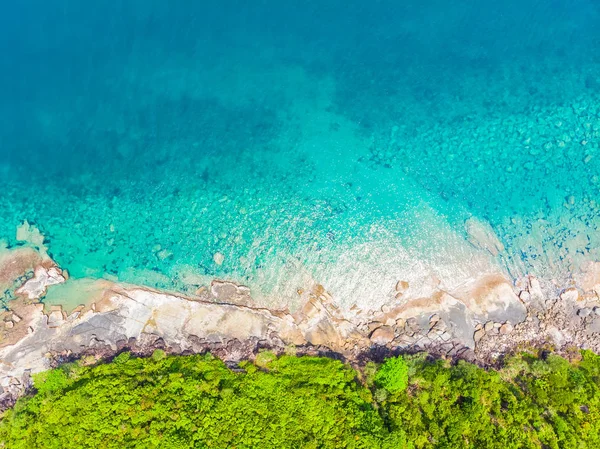 Tropisch Strand Van Prachtige Natuur Zee Met Coconut Palm Tree — Stockfoto