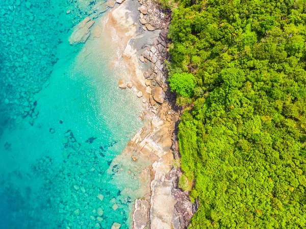 Tropisch Strand Van Prachtige Natuur Zee Met Coconut Palm Tree — Stockfoto