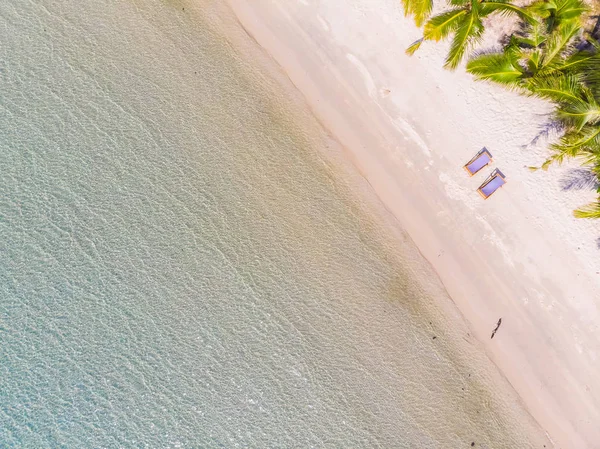 Tropická Pláž Krásná Příroda Moře Kokosu Palmou Paradise Island Pro — Stock fotografie