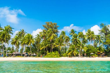 Güzel tropikal plaj ve deniz