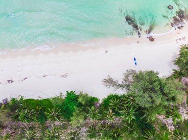 Güzel bir plaj ve deniz Hindistan cevizi hurma ağacı ile havadan görünümü