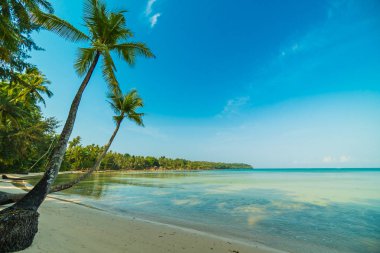 Güzel cennet ada plaj ve deniz