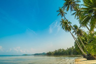 Güzel cennet ada plaj ve deniz