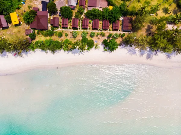 Plaj ve deniz ile Hindistan cevizi hurma ağacı güzel havadan görünümü — Stok fotoğraf