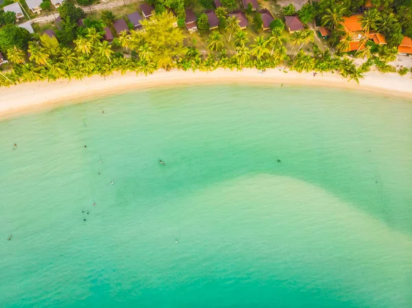 Plaj ve deniz ile Hindistan cevizi hurma ağacı güzel havadan görünümü — Stok fotoğraf