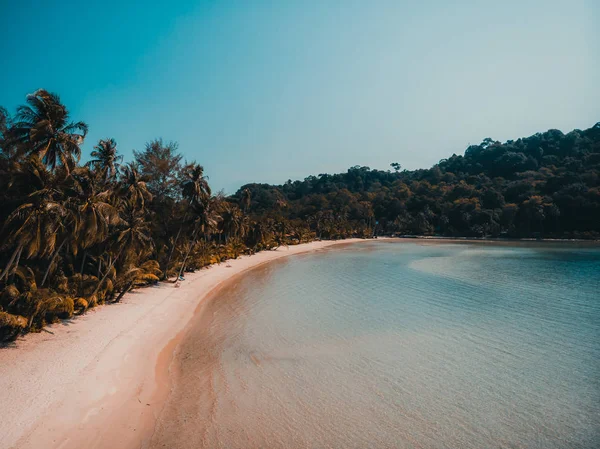 Hermosa Playa Tropical Naturaleza Mar Con Palmera Coco Isla Paradisíaca — Foto de Stock