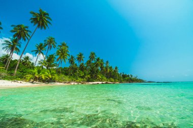 Deniz ve plaj manzara ile güzel cennet ada