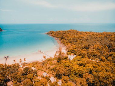 Güzel doğa tropikal plaj ve Hindistan cevizi hurma ağacı için cennet adasında tatil seyahat
