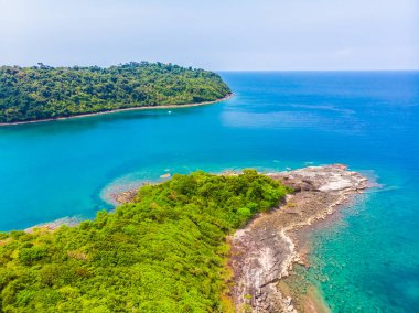 Güzel doğa tropikal plaj ve Hindistan cevizi hurma ağacı için cennet adasında tatil seyahat