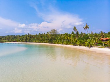 Güzel doğa tropikal plaj ve Hindistan cevizi hurma ağacı için cennet adasında tatil seyahat