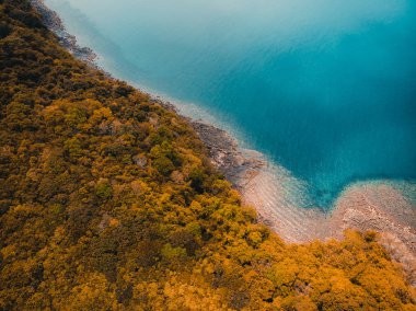 Güzel doğa tropikal plaj ve Hindistan cevizi hurma ağacı için cennet adasında tatil seyahat