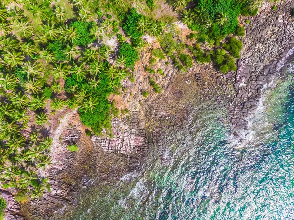 Vue aérienne de la belle plage et de la mer avec cocotier — Photo