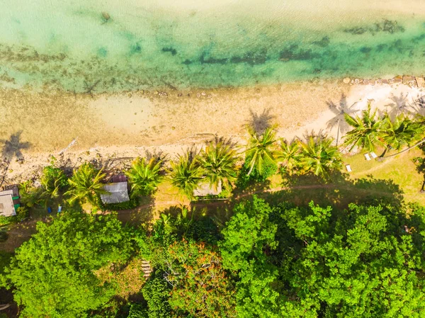 Plaj ve deniz ile Hindistan cevizi hurma ağacı güzel havadan görünümü — Stok fotoğraf