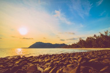 Güzel tropikal plaj ve deniz parad Hindistan cevizi hurma ağacı ile