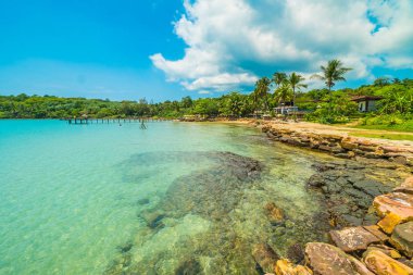 Güzel tropikal plaj ve deniz parad Hindistan cevizi hurma ağacı ile