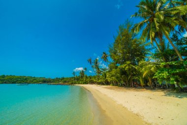 Güzel tropikal plaj ve deniz parad Hindistan cevizi hurma ağacı ile