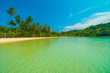 Güzel tropikal plaj ve deniz parad Hindistan cevizi hurma ağacı ile