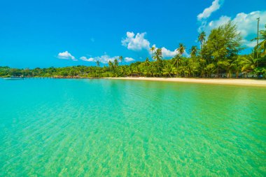 Güzel tropikal plaj ve deniz parad Hindistan cevizi hurma ağacı ile