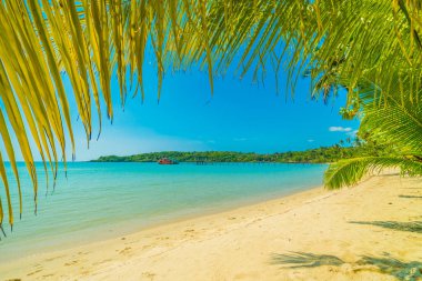 Güzel tropikal plaj ve deniz parad Hindistan cevizi hurma ağacı ile