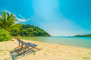 Güzel tropikal plaj ve deniz parad Hindistan cevizi hurma ağacı ile