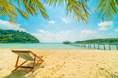 Güzel tropikal plaj ve deniz parad Hindistan cevizi hurma ağacı ile