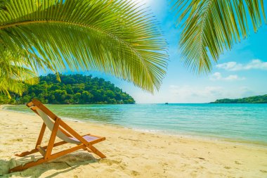 Güzel tropikal plaj ve deniz parad Hindistan cevizi hurma ağacı ile