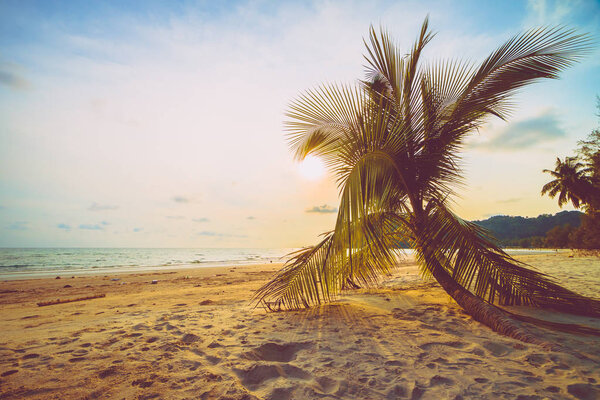 Beautiful tropical beach and sea with coconut palm tree in parad