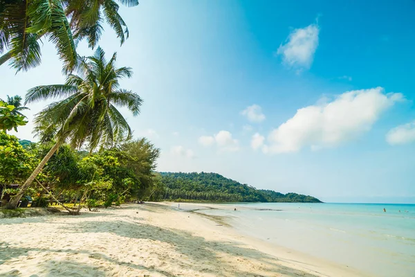 Beautiful tropical beach and sea with coconut palm tree in parad — Stock Photo, Image