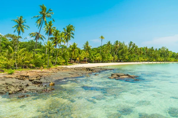 Pięknej tropikalnej plaży i morza z palmy kokosowe drzewo w parad — Zdjęcie stockowe