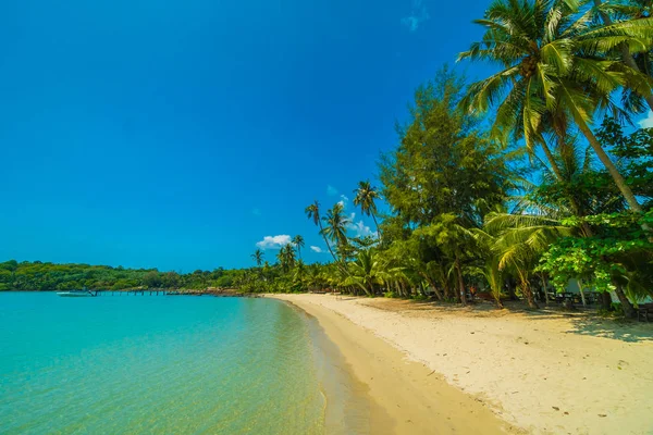 Belle plage tropicale et mer avec cocotier en parad — Photo