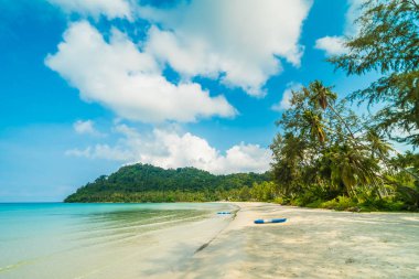 Güzel tropikal plaj ve deniz paradise Island Seyahat ve tatil için Hindistan cevizi hurma ağacı