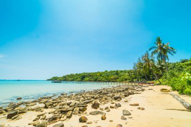 Güzel tropikal plaj ve deniz paradise Island Seyahat ve tatil için Hindistan cevizi hurma ağacı