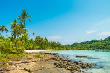 Güzel tropikal plaj ve deniz paradise Island Seyahat ve tatil için Hindistan cevizi hurma ağacı