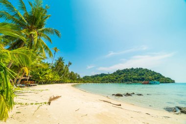 Güzel tropikal plaj ve deniz paradise Island Seyahat ve tatil için Hindistan cevizi hurma ağacı