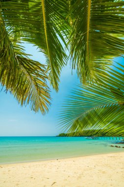 Güzel tropikal plaj ve deniz paradise Island Seyahat ve tatil için Hindistan cevizi hurma ağacı