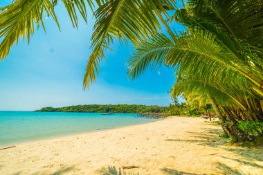 Güzel tropikal plaj ve deniz paradise Island Seyahat ve tatil için Hindistan cevizi hurma ağacı
