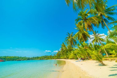 Güzel tropikal plaj ve deniz paradise Island Seyahat ve tatil için Hindistan cevizi hurma ağacı