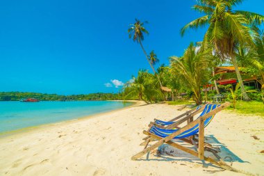 Güzel tropikal plaj ve deniz paradise Island Seyahat ve tatil için Hindistan cevizi hurma ağacı