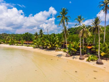 Plaj ve deniz paradise Island tatil için Hindistan cevizi hurma ağacı ile güzel havadan görünümü