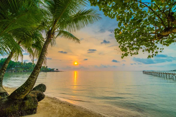 Hermosa Isla Paradisíaca Con Playa Mar Alrededor Palmera Coco Atardecer — Foto de Stock