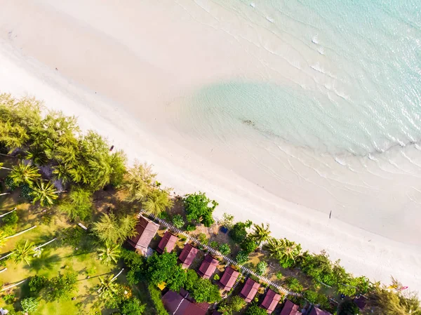 Plaj Deniz Paradise Island Tatil Için Hindistan Cevizi Hurma Ağacı — Stok fotoğraf