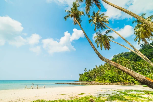 Beautiful Tropical Beach Sea Coconut Palm Tree Paradise Island Travel — Stock Photo, Image