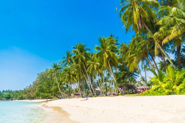 Güzel tropikal plaj ve Hindistan cevizi hurma ağacı Cennet Adası - tatil tatil kavramı ile
